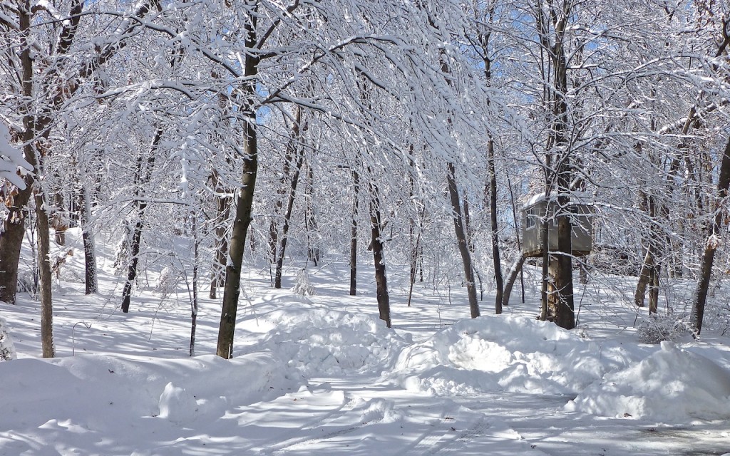 Minnesota Blizzard 2014