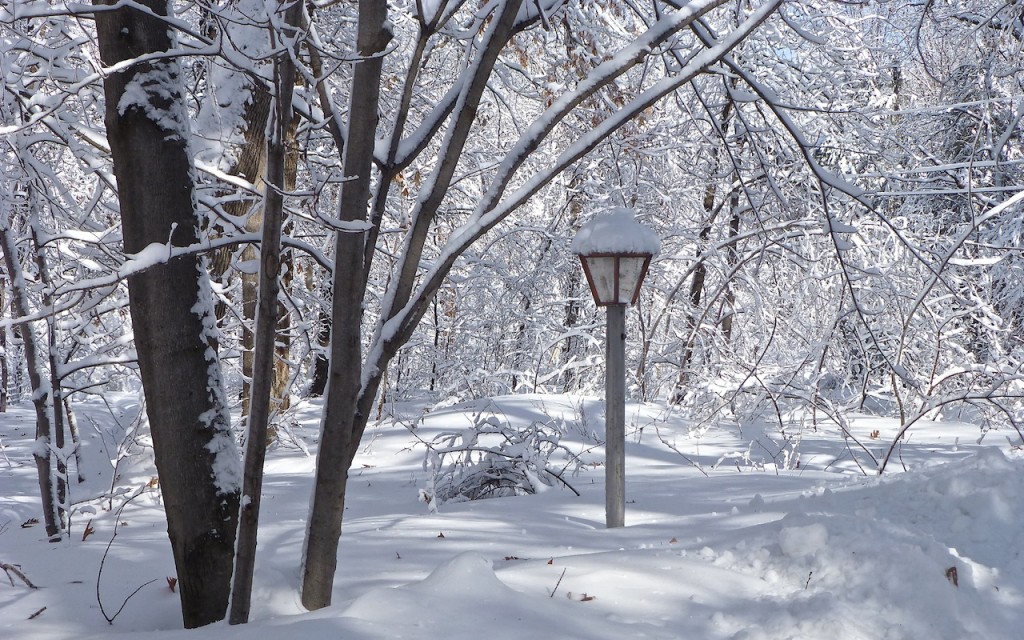 Minnesota Blizzard 2014