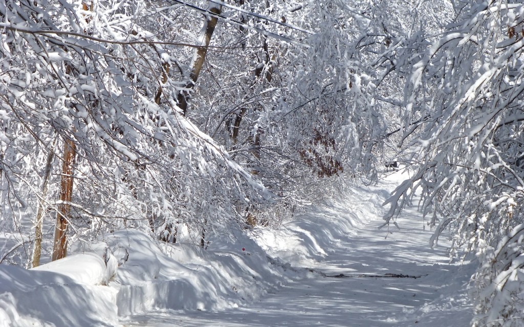 Minnesota Winter Road