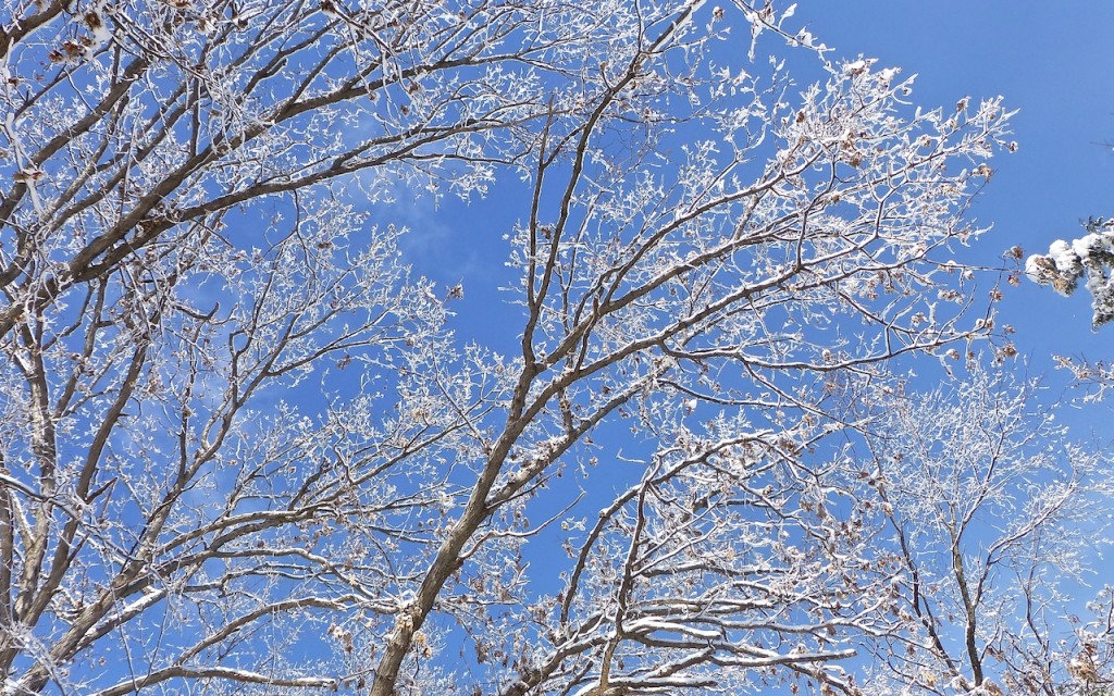 Minnesota Sun February