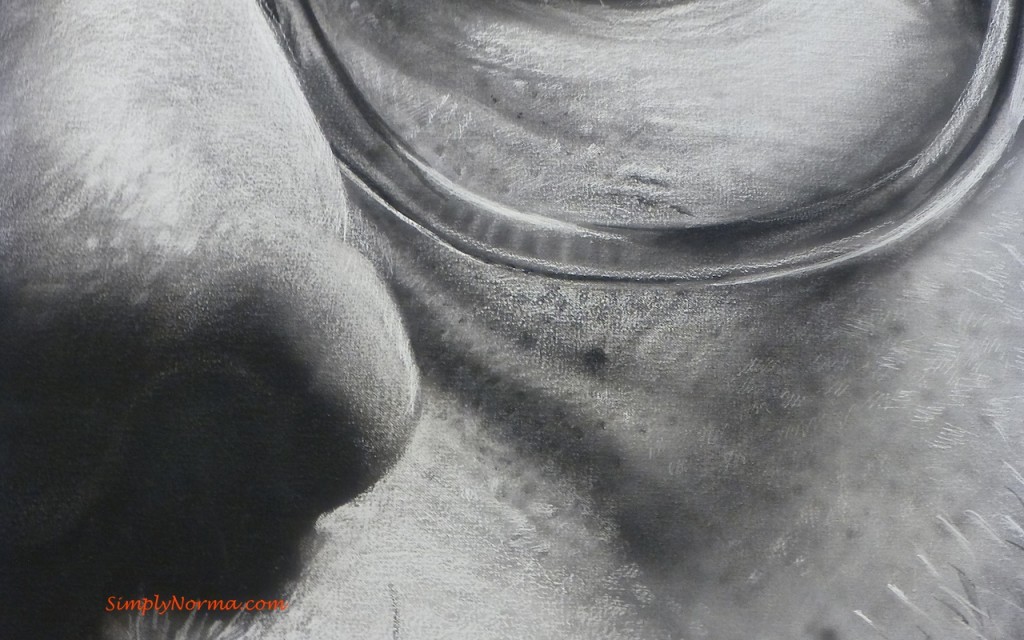 Frank by Chuck Close, 1940, close up