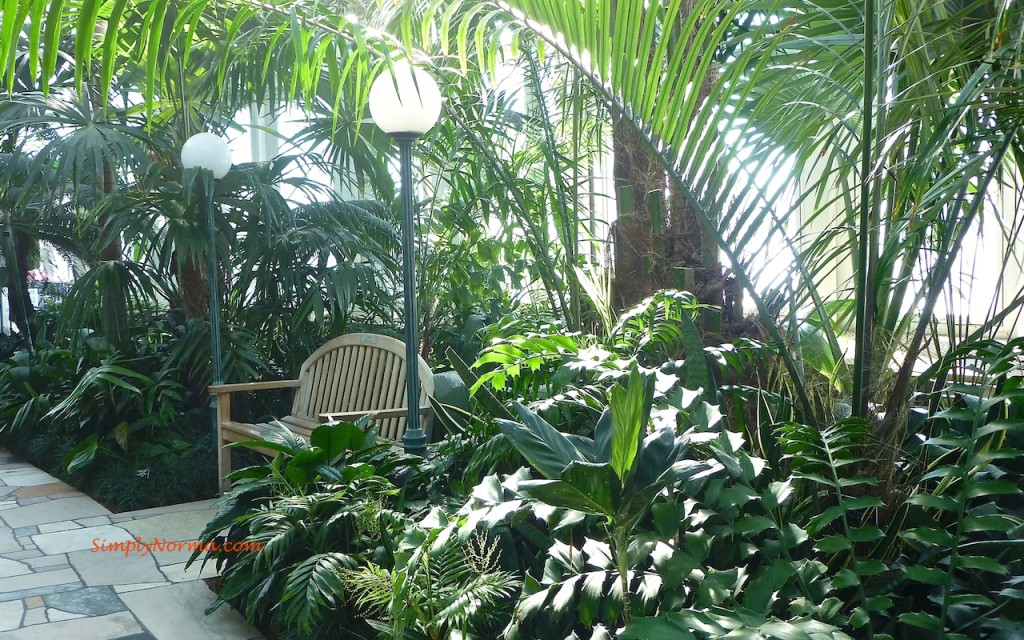 St Paul, MN Como Conservatory