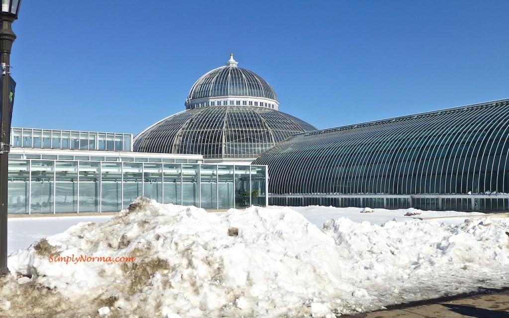 St Paul, MN Como Conservatory