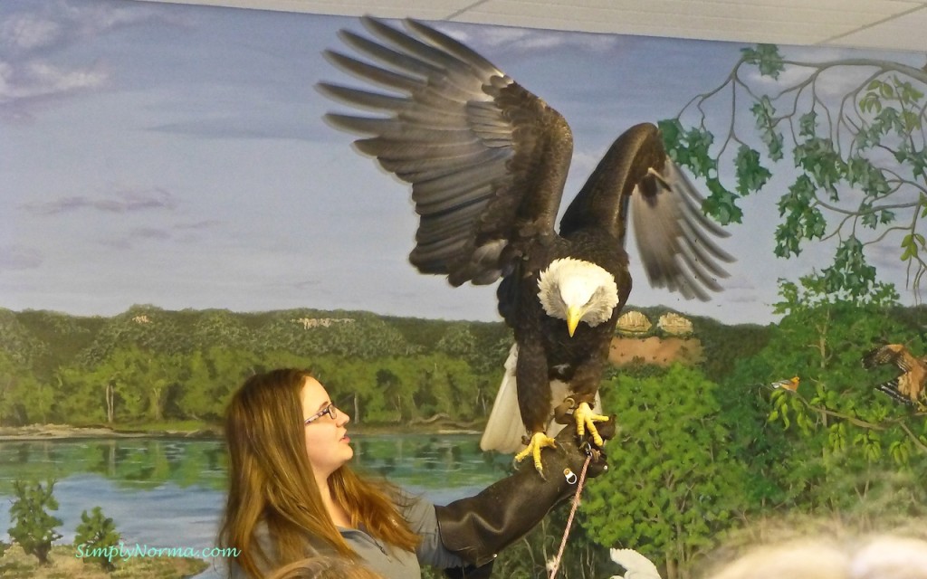 The National Eagle Center