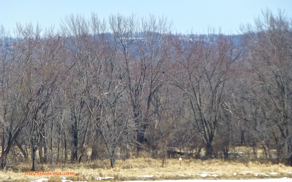 View of Eagle across the river