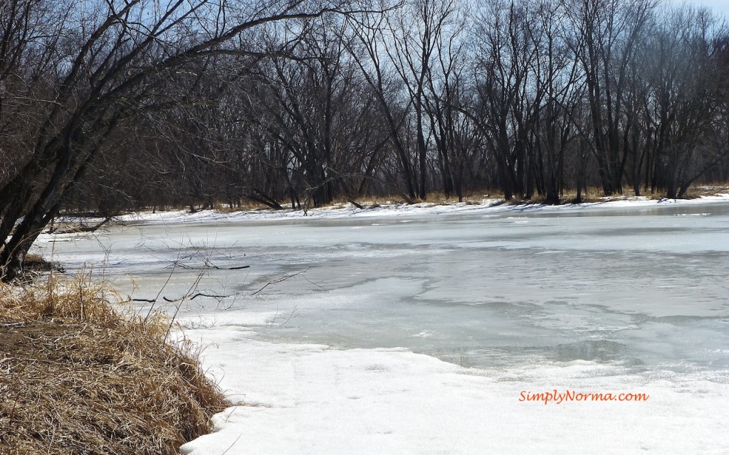 Mississippi River, Spring 2014