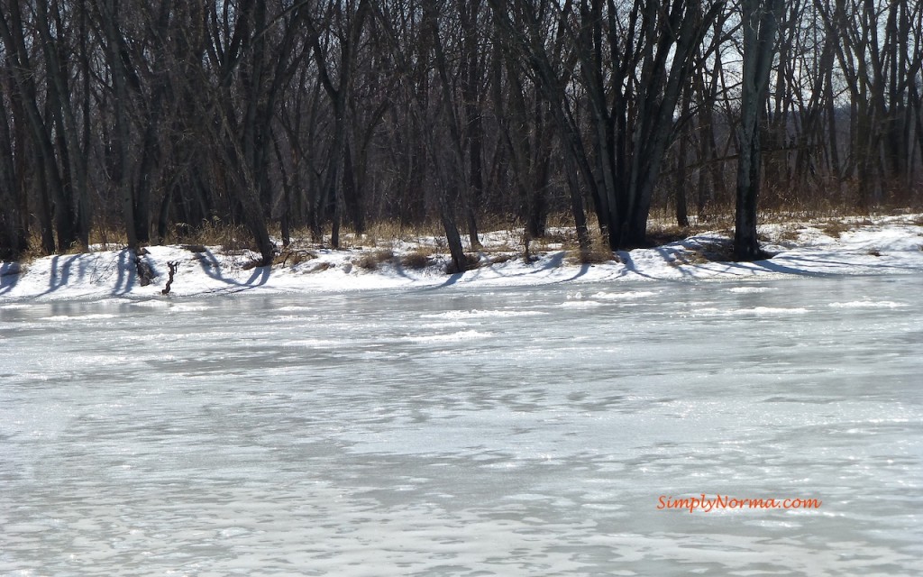 Mississippi River, Spring 2014