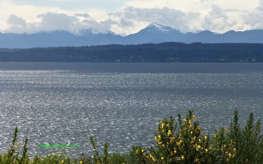 Olympic Mountains, Richmond Beach, WA