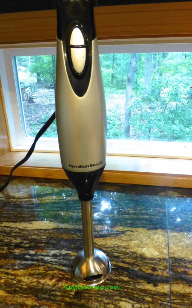 Immersion Blender