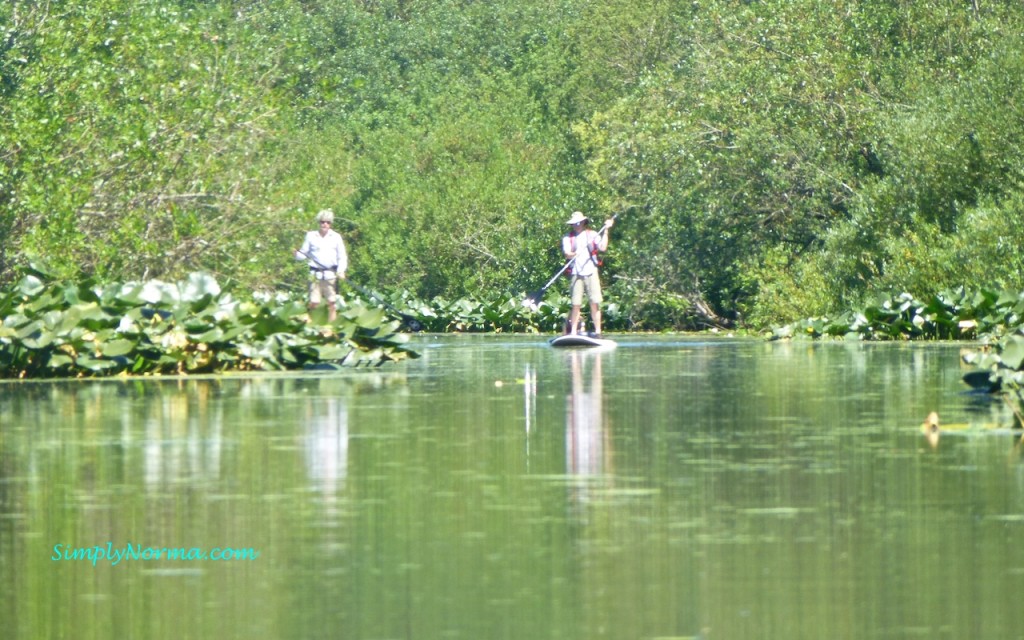 Entai Beach, Kayaking