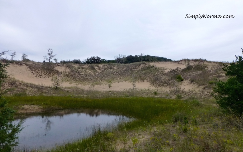 Indiana Sand Dunes