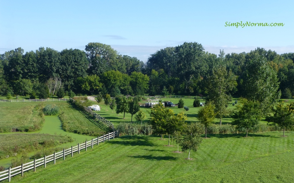 View from the top, Windmill Island Gardens, Holland, Michigan