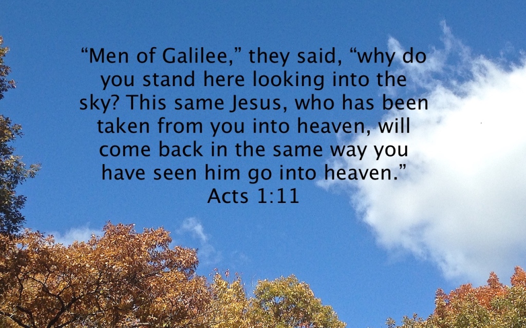 Acts 1:11