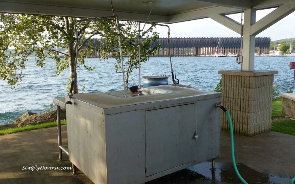 Fish Cleaning Station