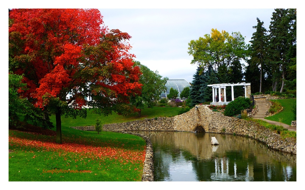 Como Park Conservatory, St Paul, Minnesota