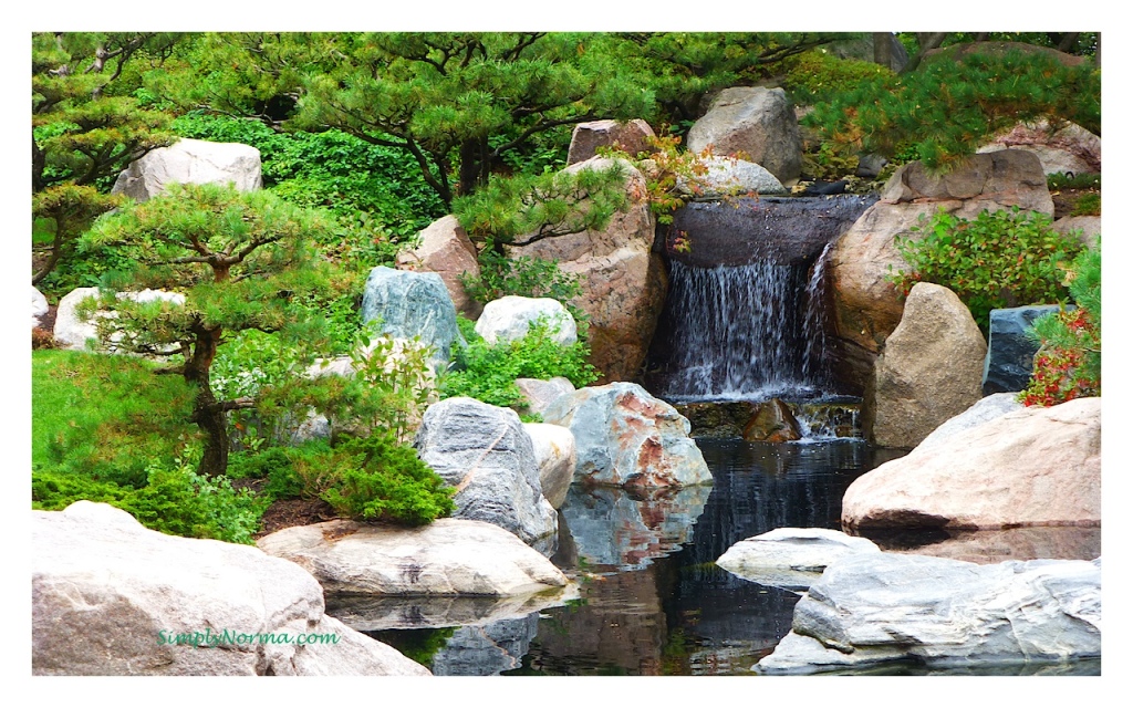 Japanese Garden, Como Conservatory