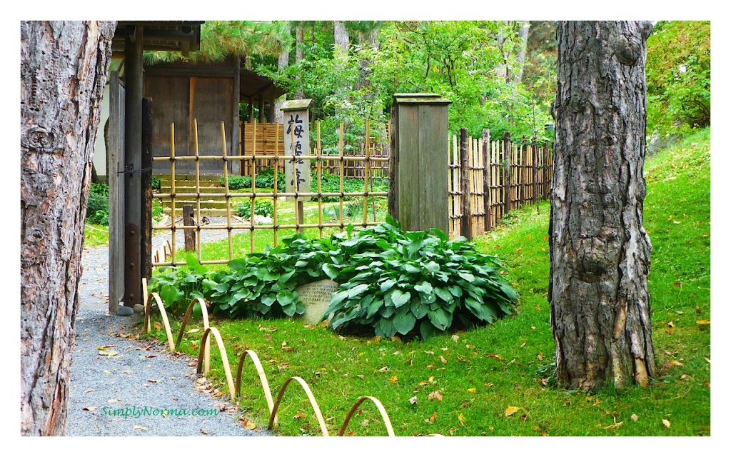 Japanese Garden, Como Conservatory