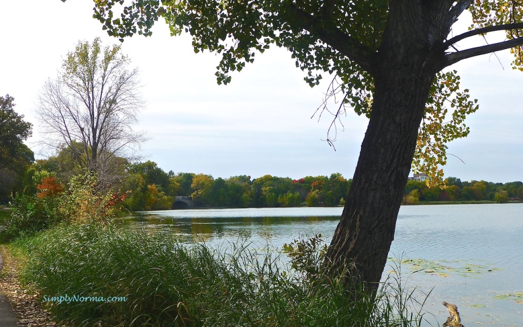 Lake of the Isles, Minneapolis, Minnesota