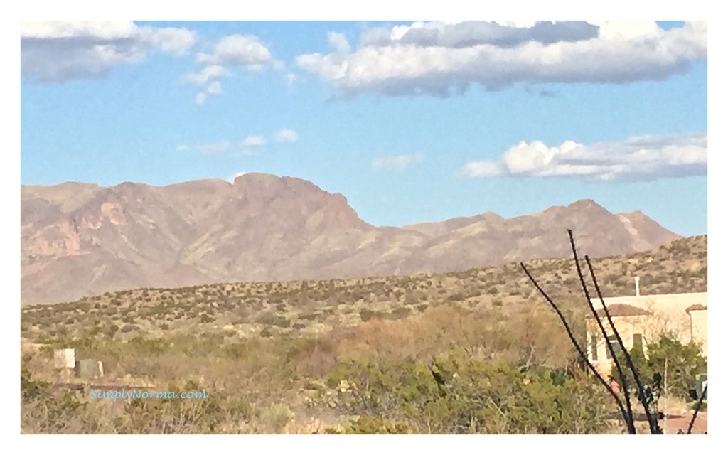 Organ Mountains