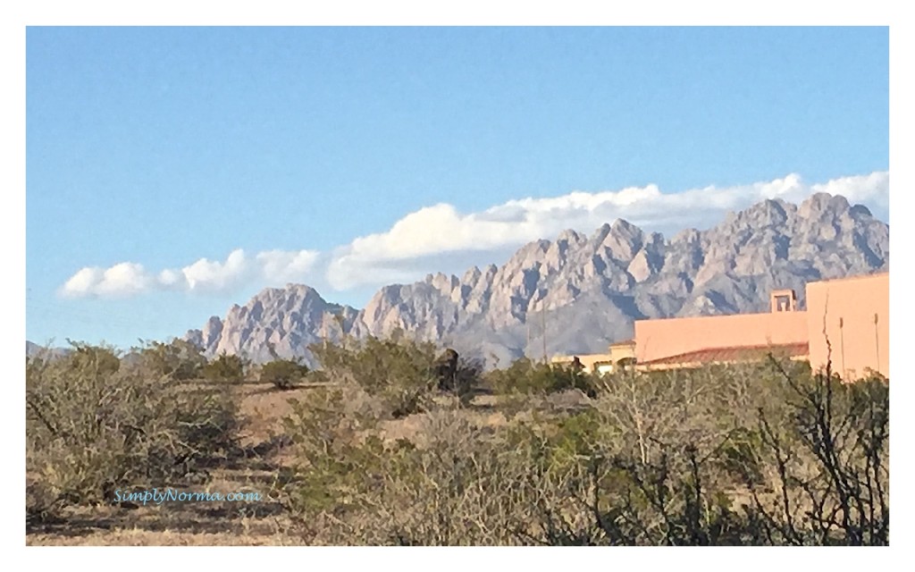 Organ Mountains