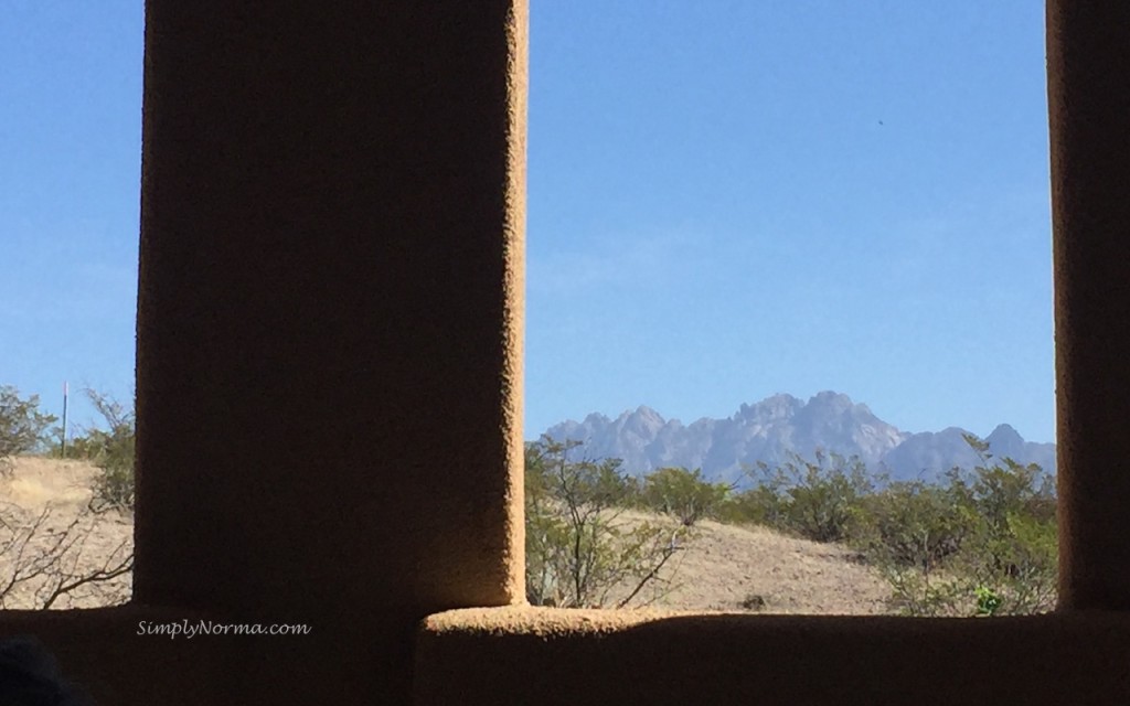 View of Organ Mountains