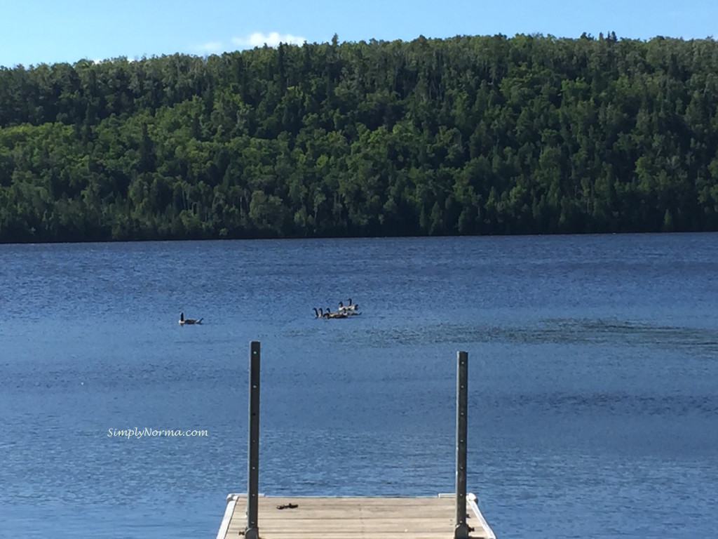 Lax Lake, Minnesota