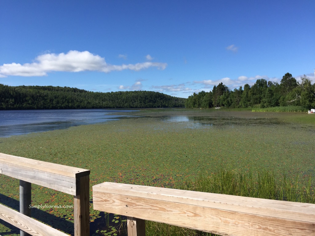 Lax Lake, MN