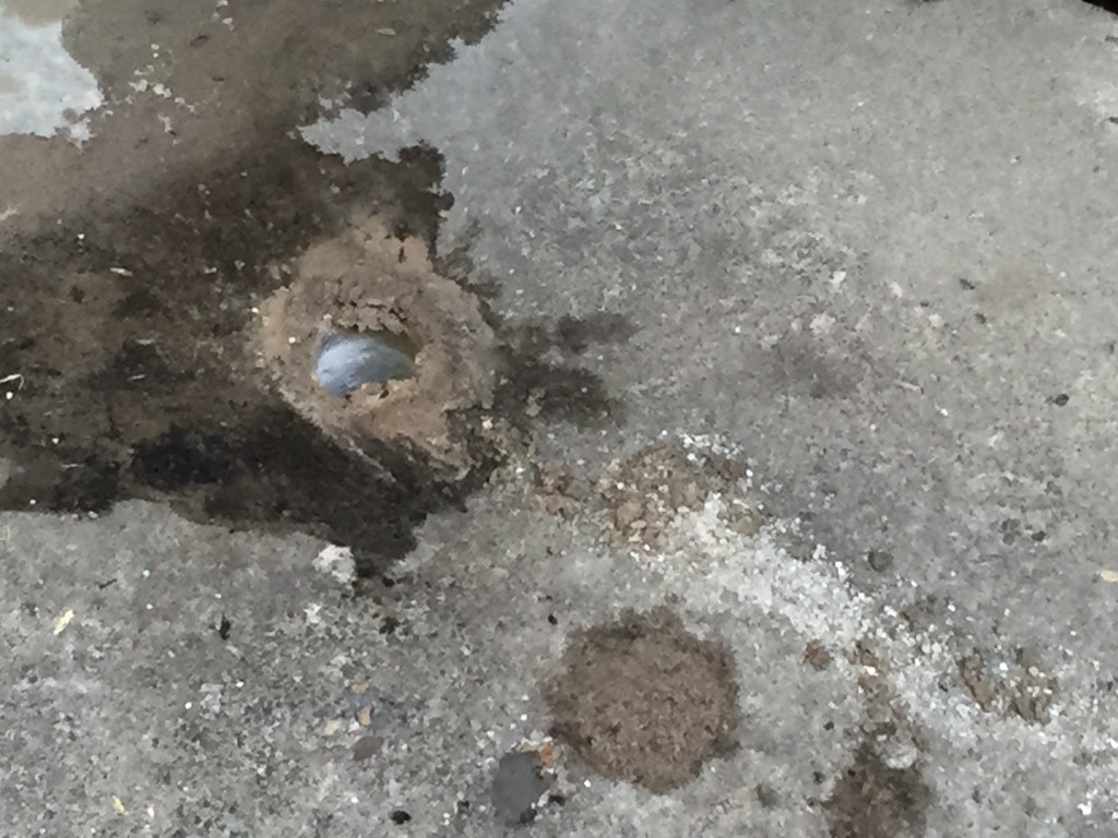 Cement Holes