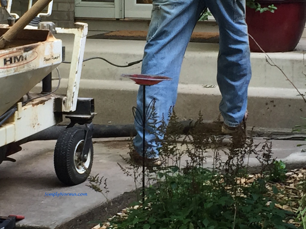 Adding Cement to the Sidewalk Hole