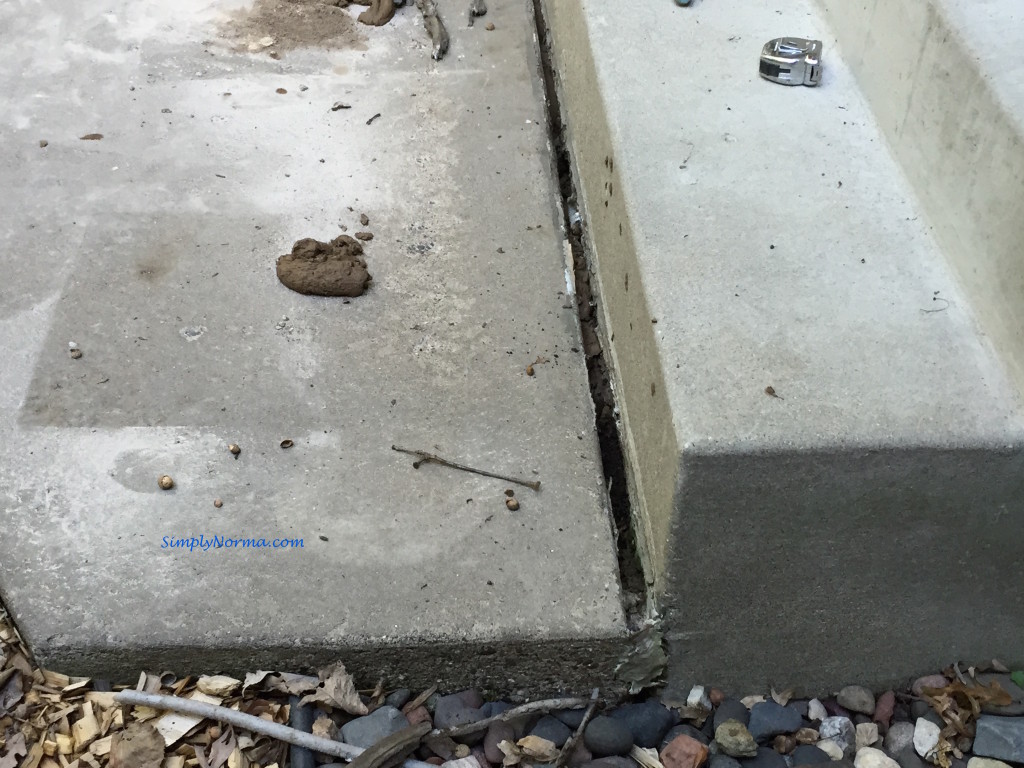 Crack in Sidewalk