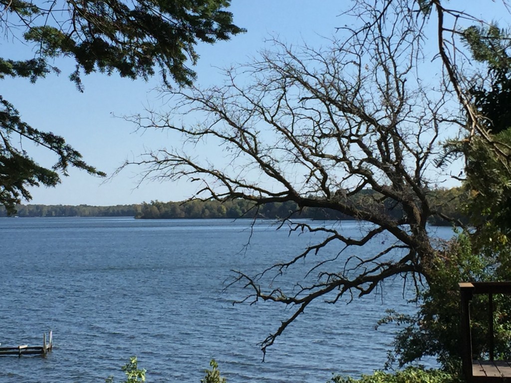 Autumn, Bay Lake, Minnesota