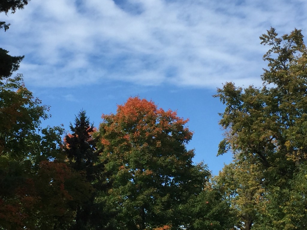 Autumn, Deerwood, Minnesota