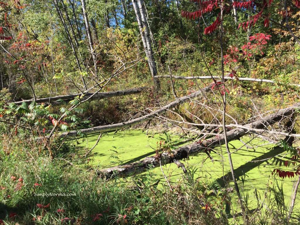 Kathio Landmark Trail, Minnesota