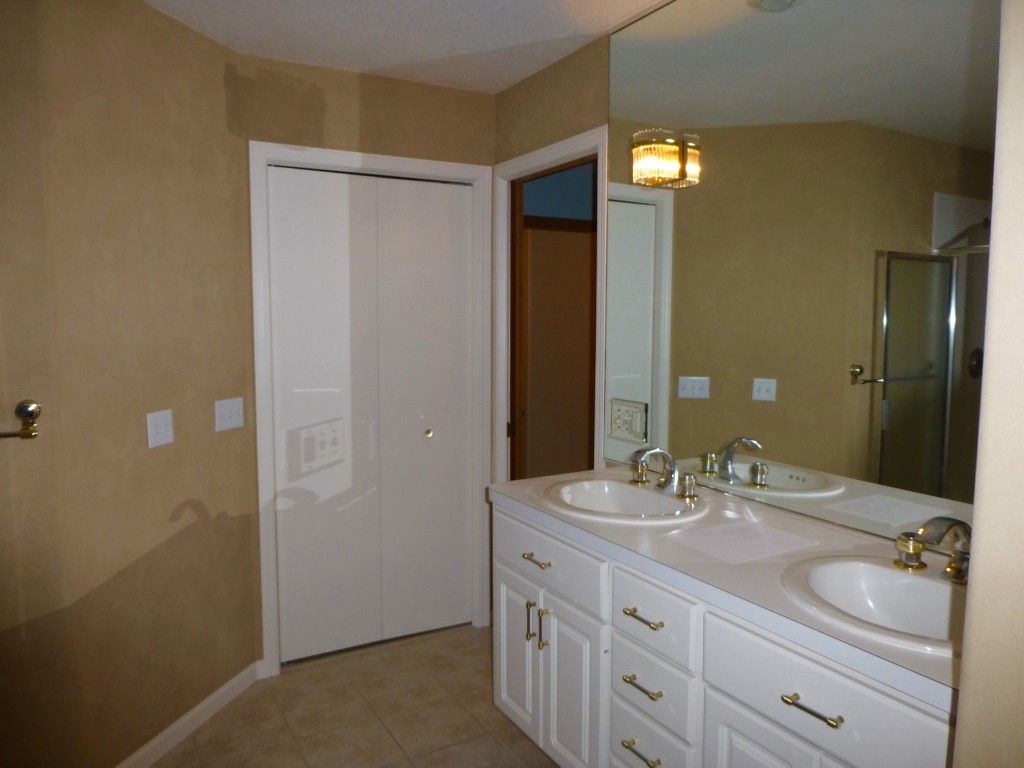 Master Bathroom Remodel