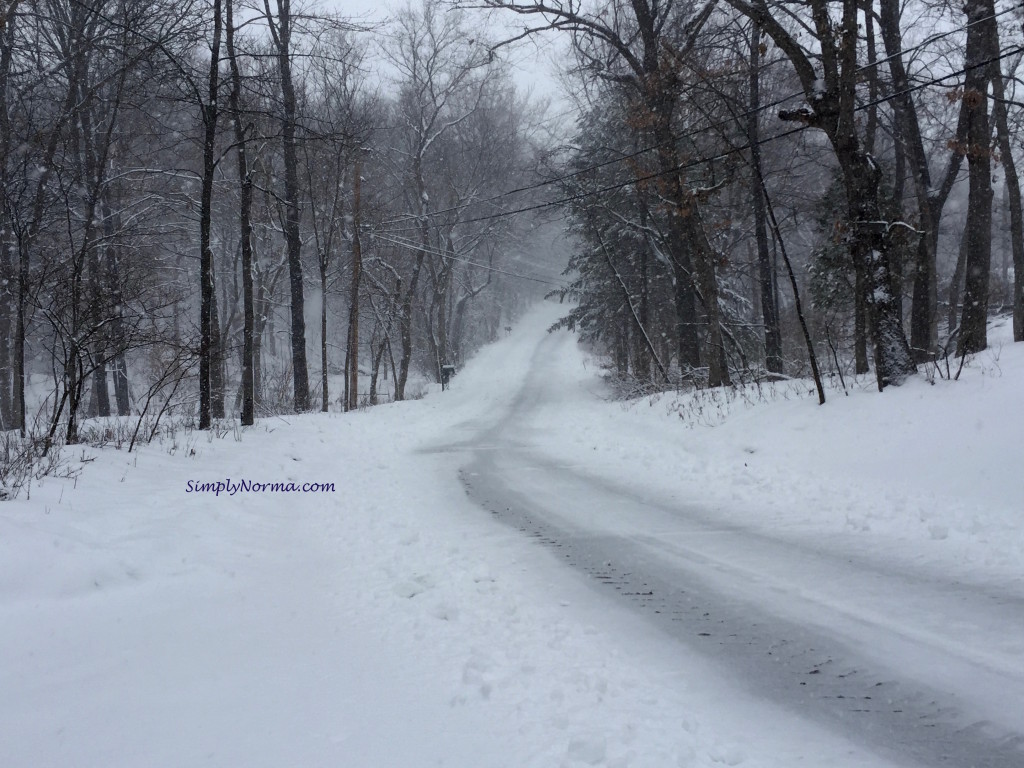 Minnesota Snowy Road