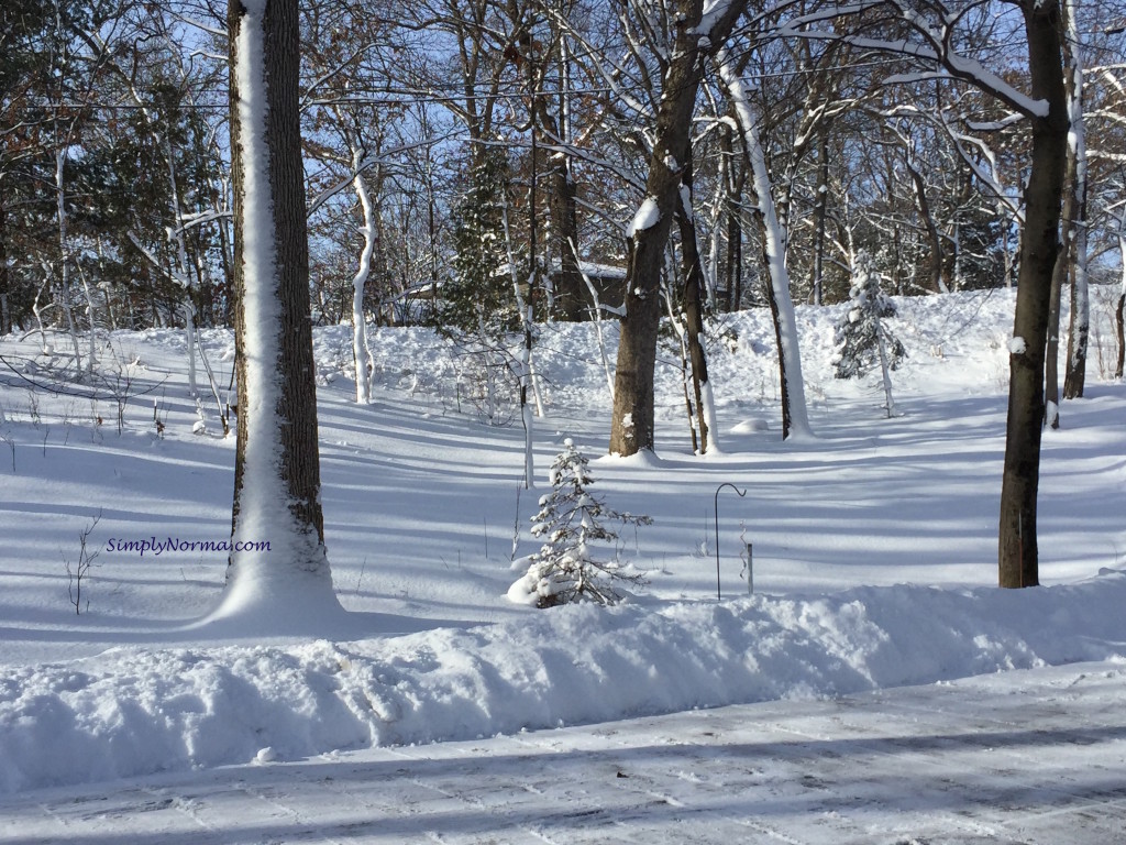 Minnesota Winter