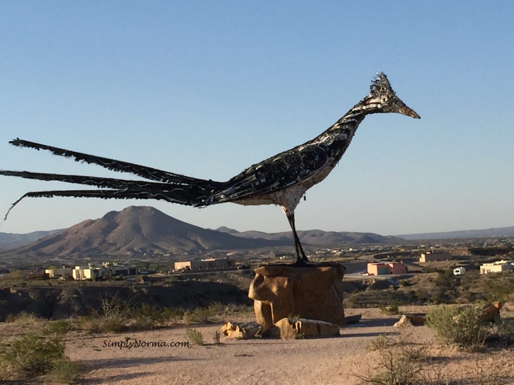 Las Cruces, New Mexico Roadrunner