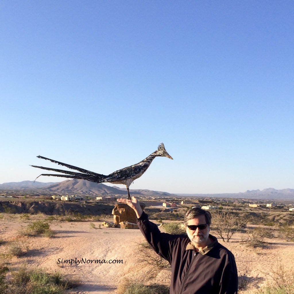 New Mexico Roadrunner