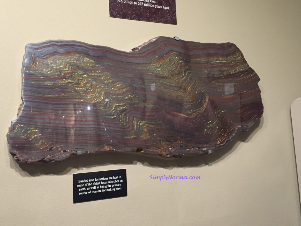 Banded Iron Formations, The Zuhl Museum