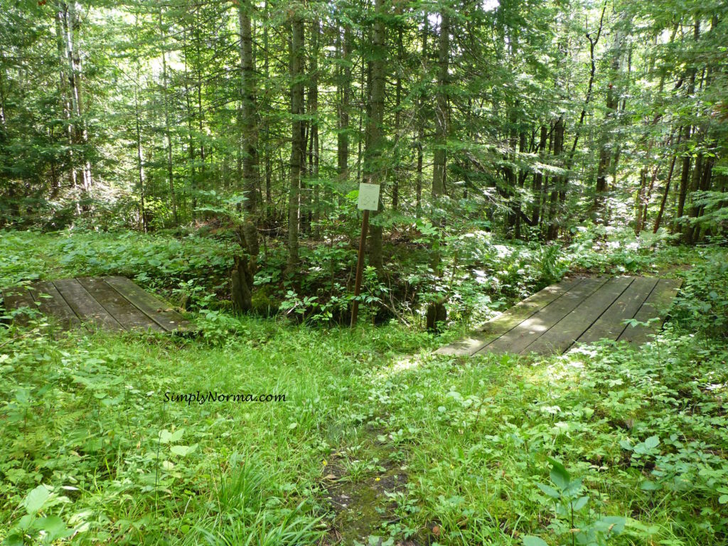 Echo Bay Trail, Voyageurs National Park