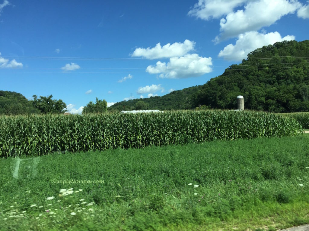 Illinois Corn Farm