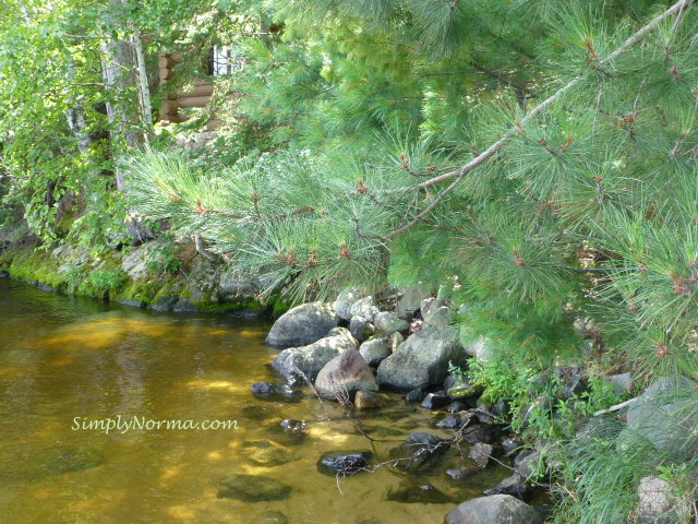 Voyageur National Park