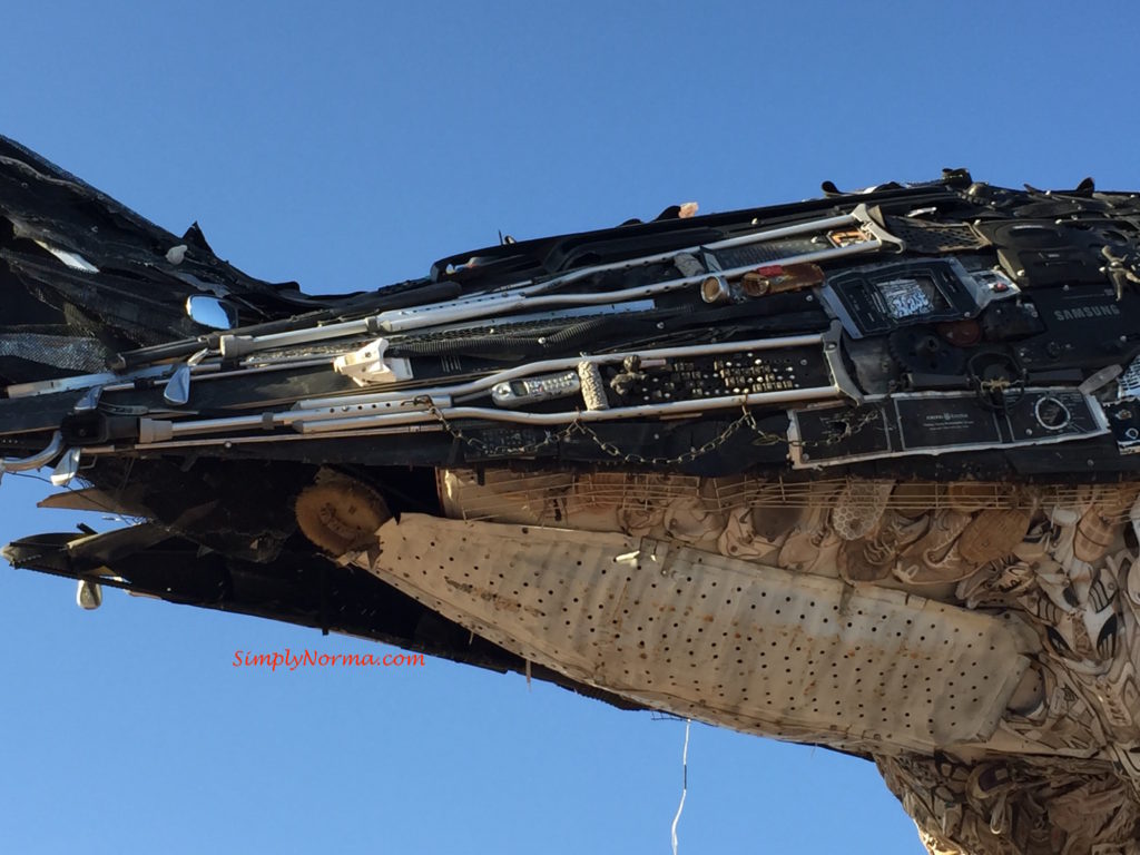 Recycled Roadrunner, New Mexico