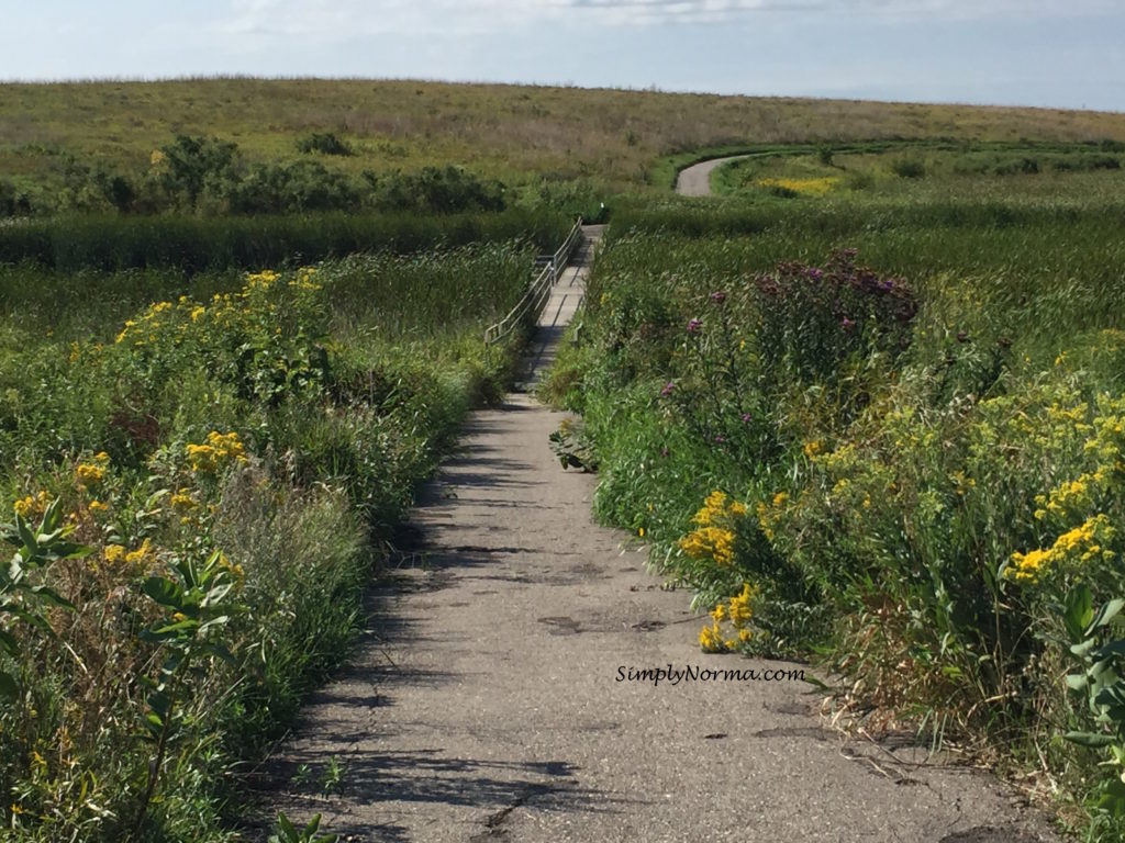 Prairie Wetlands Learning Trail, Fergus Falls, MN