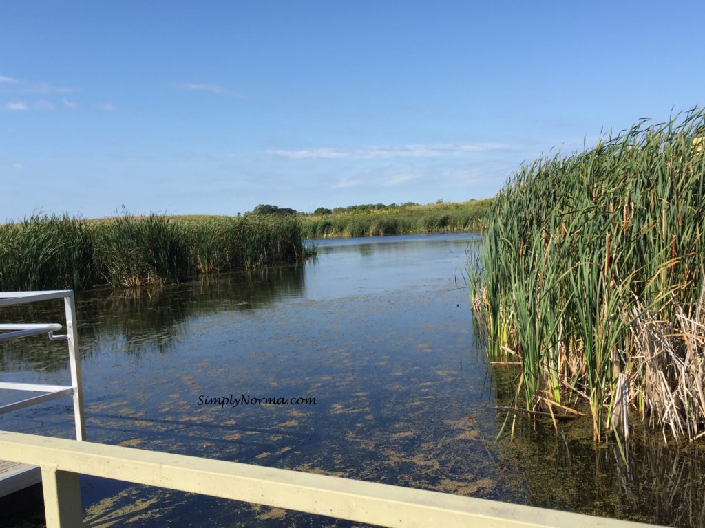 Prairie Wetlands Learning Trail, Fergus Falls, MN