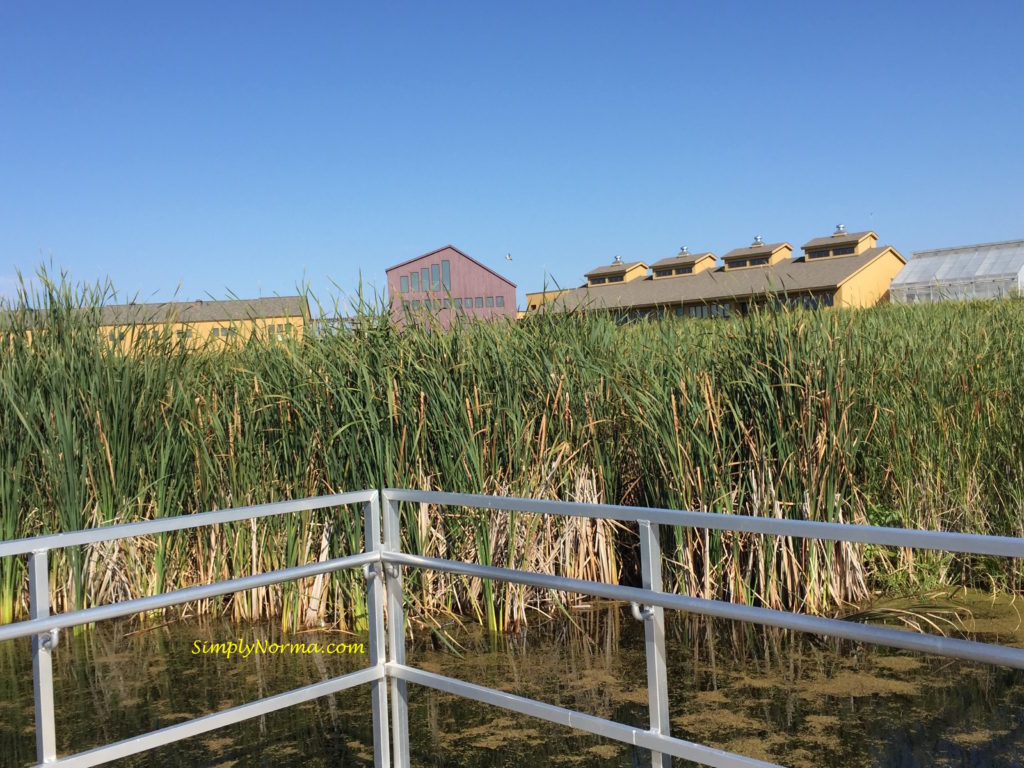 Prairie Wetlands Learning Trail, Fergus Falls, MN