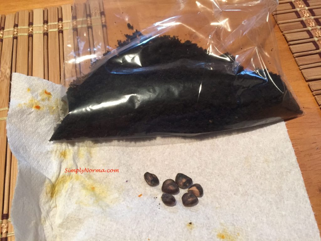 Preparation of Cucumber Tree Magnolia Seeds