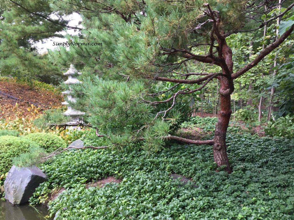 Japanese Garden, Minnesota Landscape Arboretum