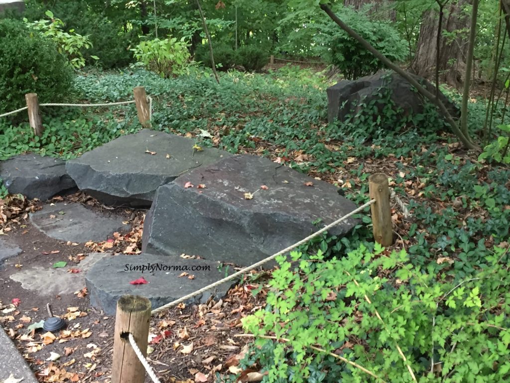 Japanese Garden Walkway, Minnesota Landscape Arboretum