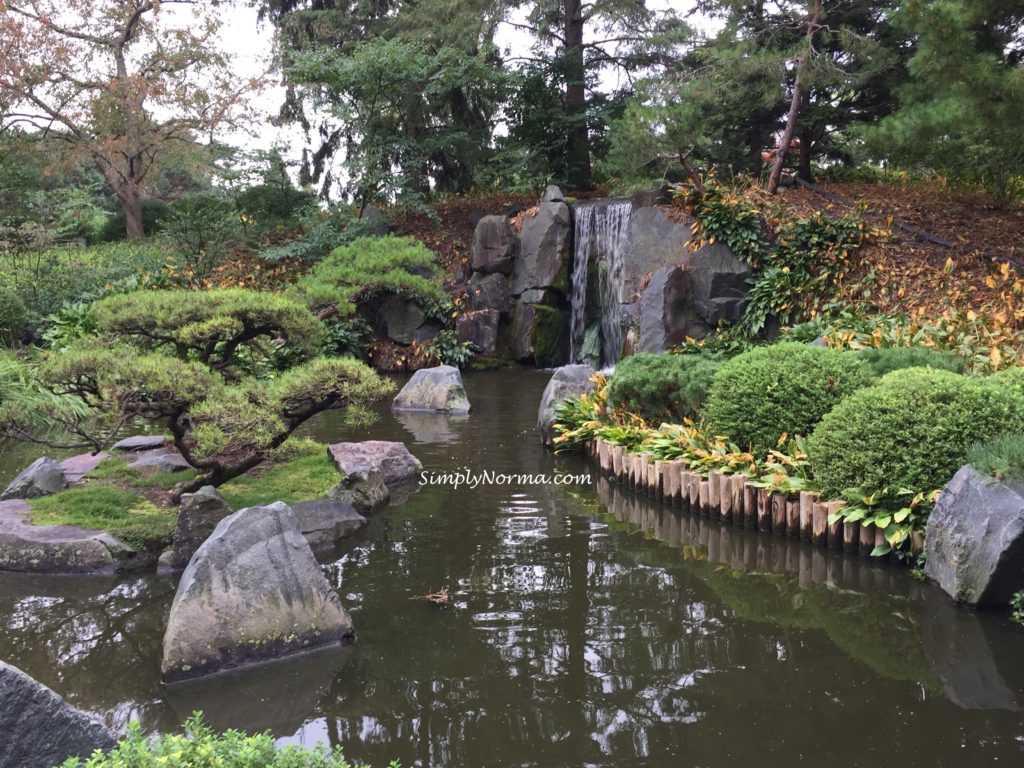 Japanese Garden Waterfalls, Minnesota Landscape Arboretum